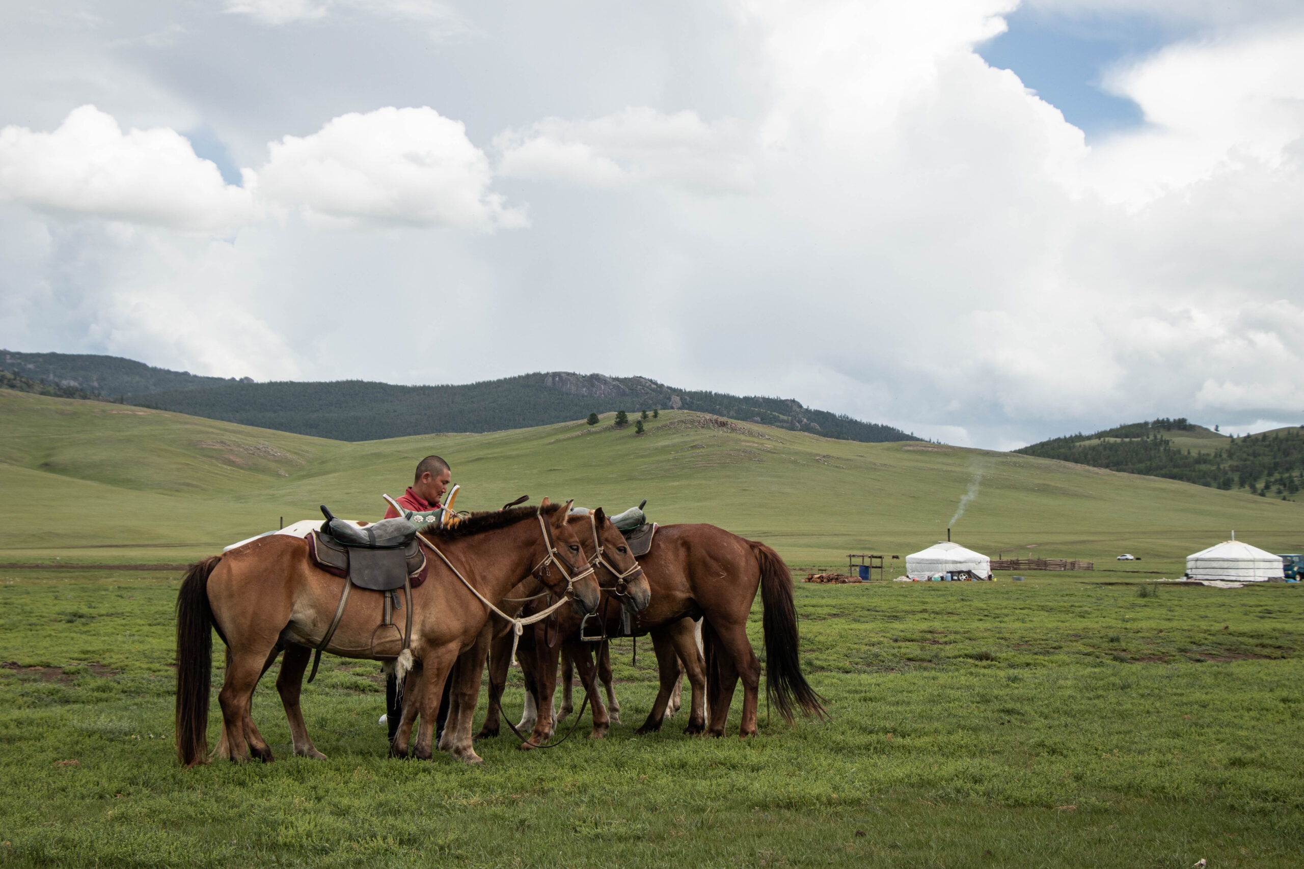 Guide touristique à cheval