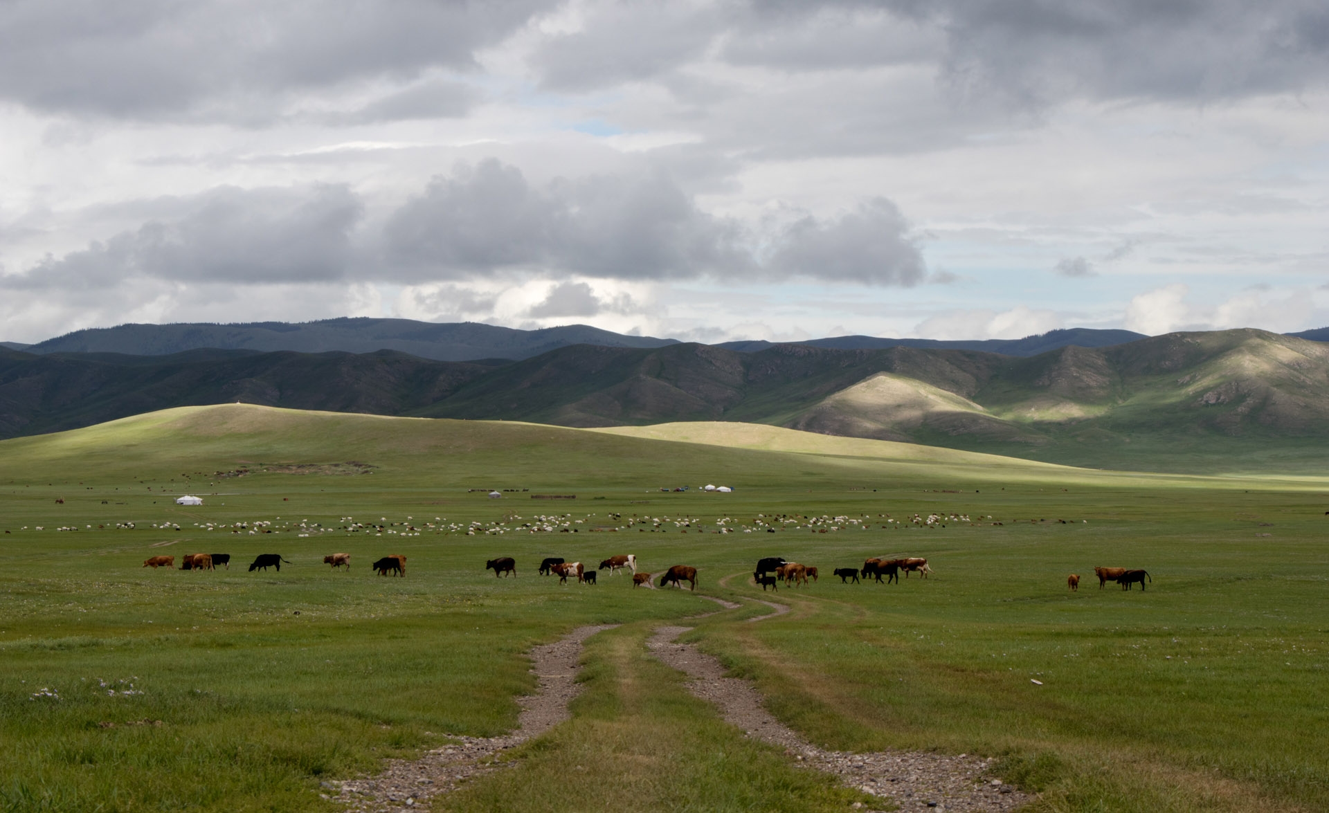 Terelj valley