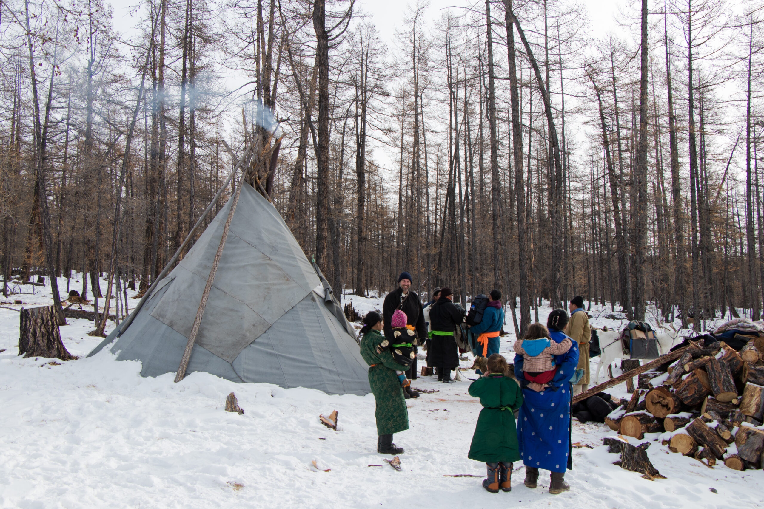 Reinder nomadic famille in forest