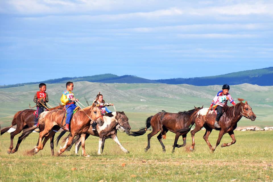 Mongolie cheval