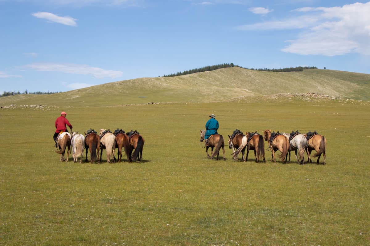 Eco Voyage Mongolie - Logo