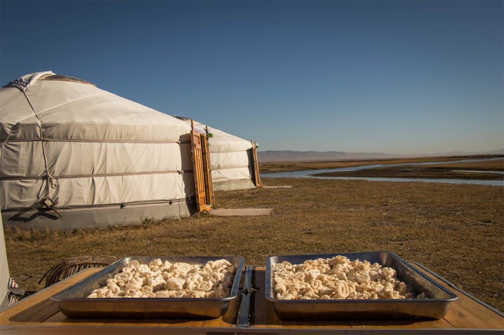 Yurt accomodation