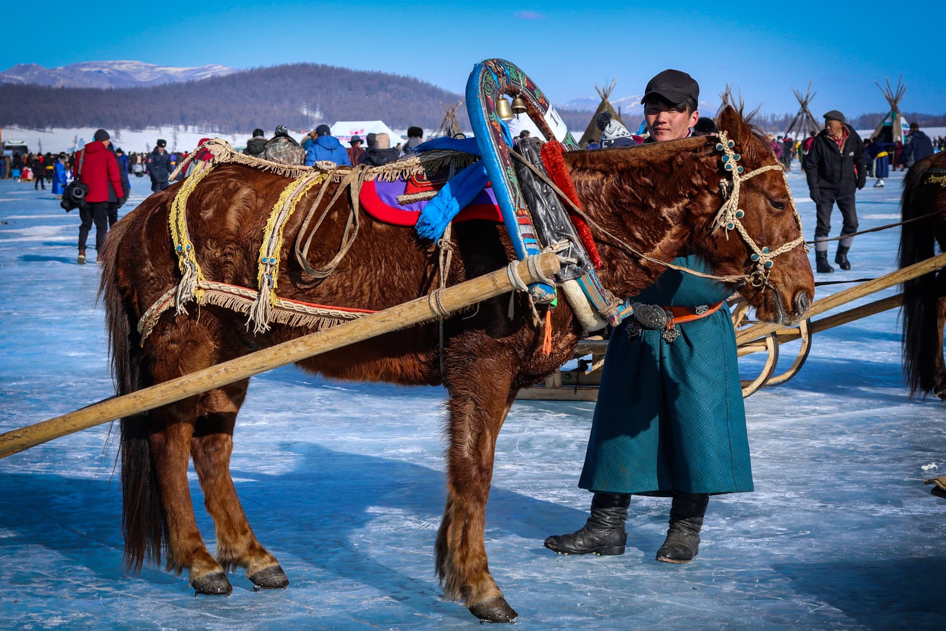 Horse on ice