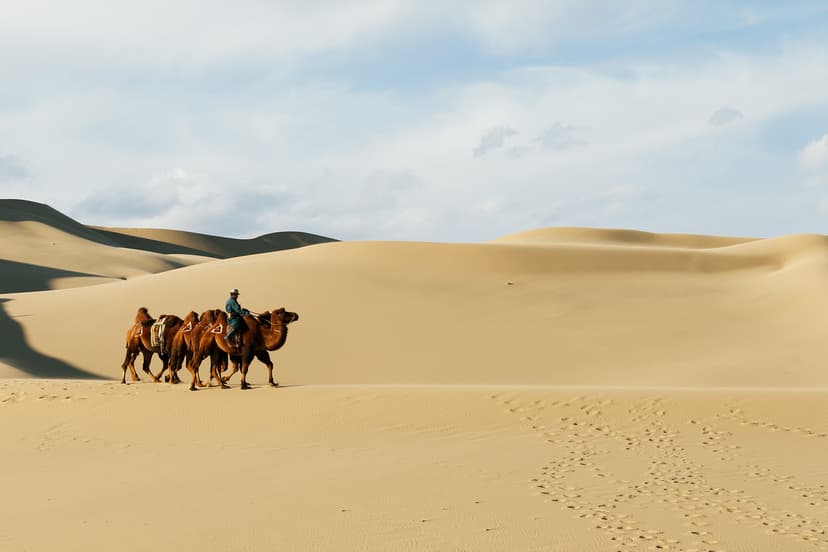 Khongor dune