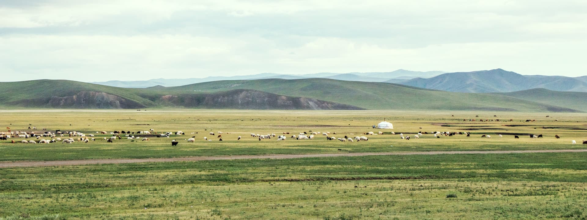 Nomadic family in the Mongolian steppe