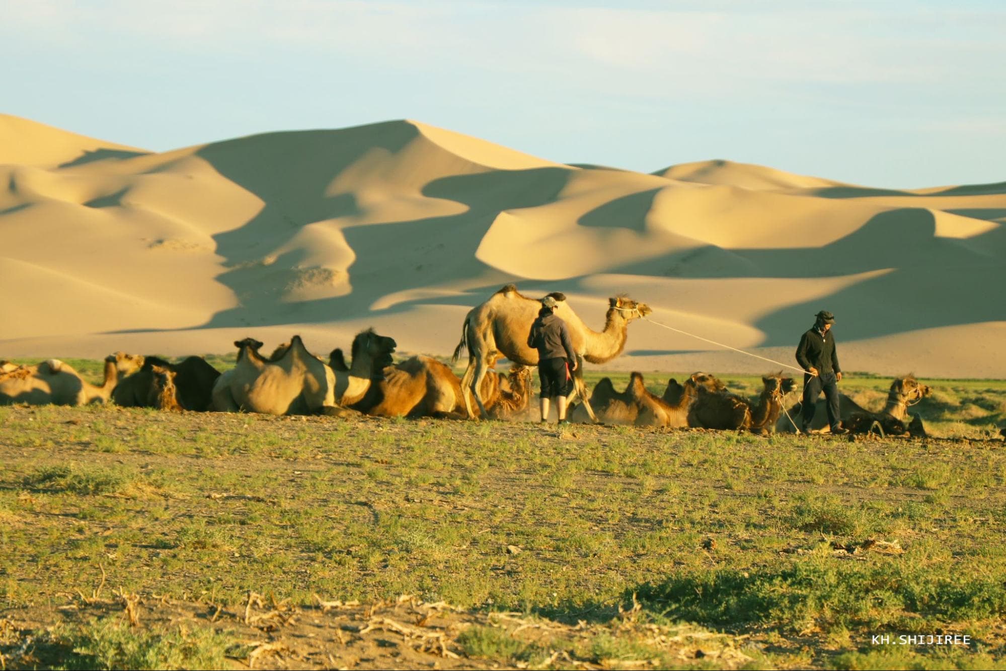 Les dunes chantantes de Gobi en Mongolie