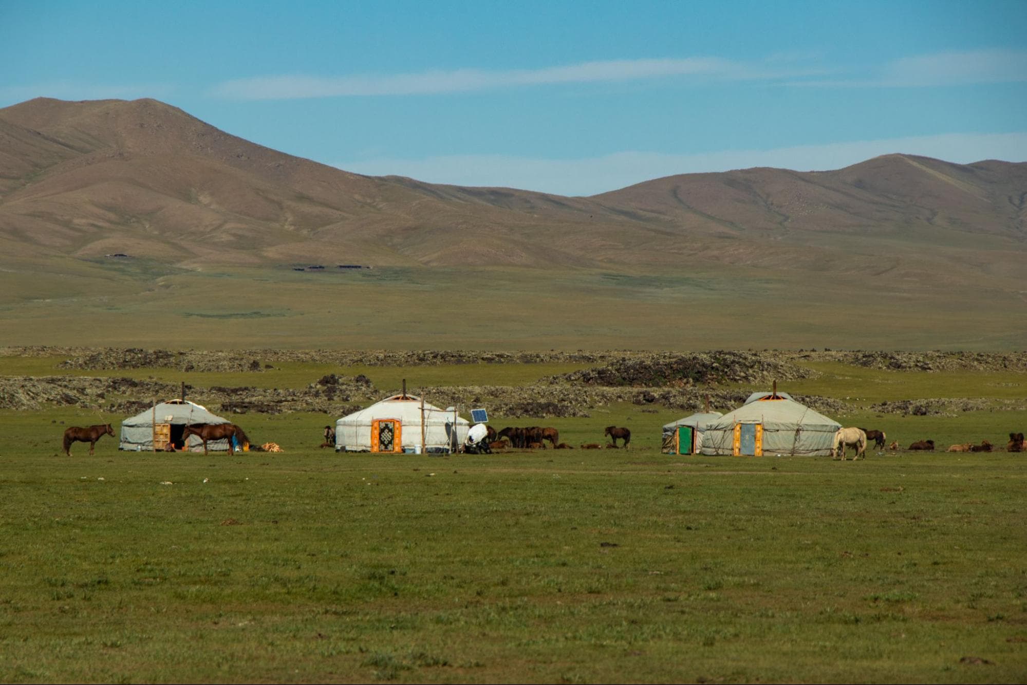 Habitations et fromages traditionnels mongols