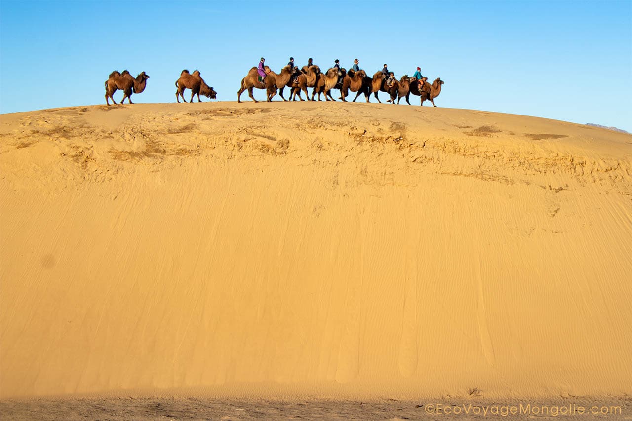 La Fête des Mille Chameaux